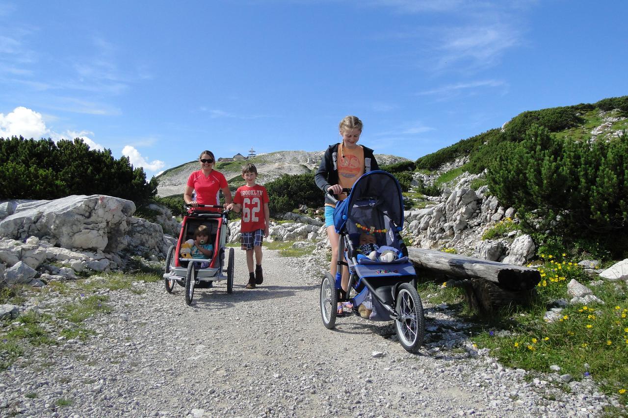 Lodge Am Krippenstein Obertraun Bagian luar foto